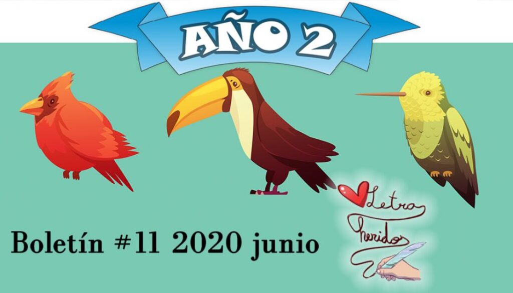 boletín 11 2020 junio