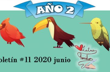 boletín 11 2020 junio