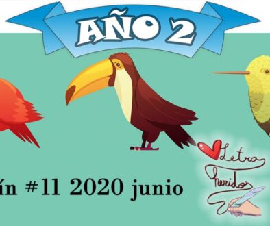 boletín 11 2020 junio