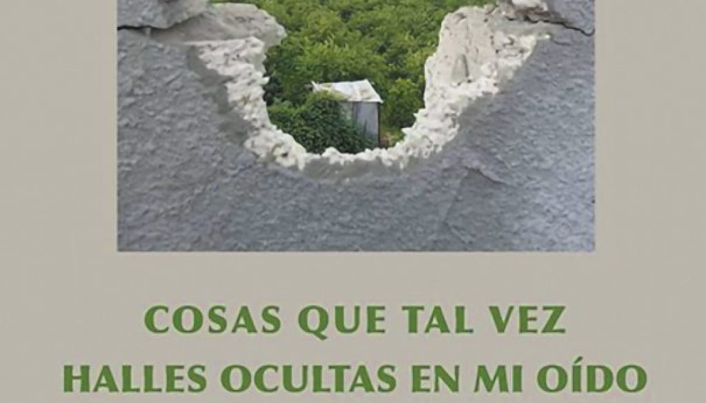 Cosas que tal vez halles ocultas en mi oído (Mosab Abu Toha) Cosas que tal vez halles ocultas en mi oído (Mosab Abu Toha)