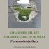 Cosas que tal vez halles ocultas en mi oído (Mosab Abu Toha)